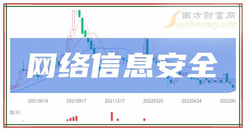 2024年网络与信息安全软件开发龙头上市公司全解析