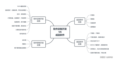 网络与信息安全软件 定制开发与成品软件的抉择之道
